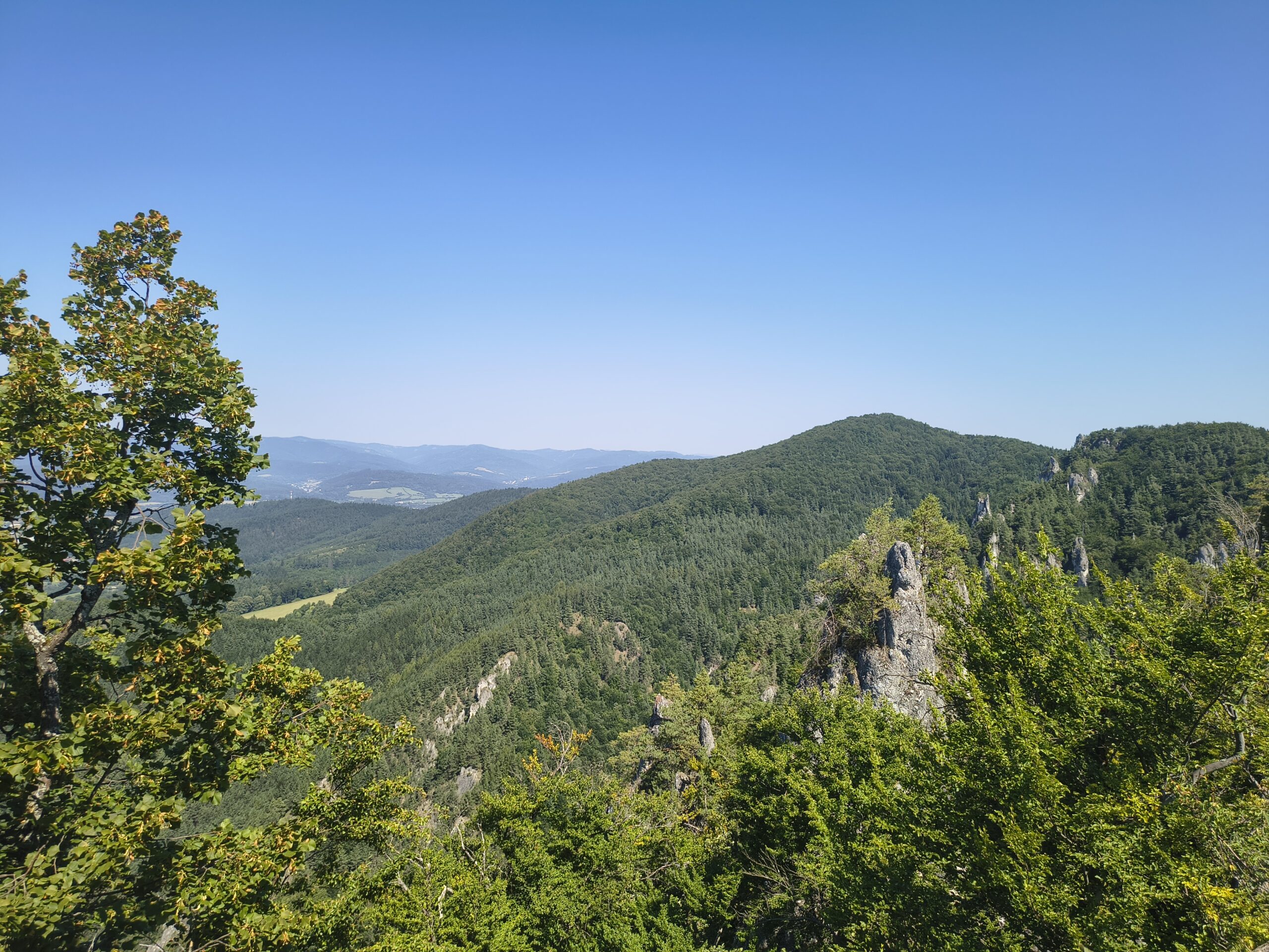 Panorama zielonych wzgórz i skał